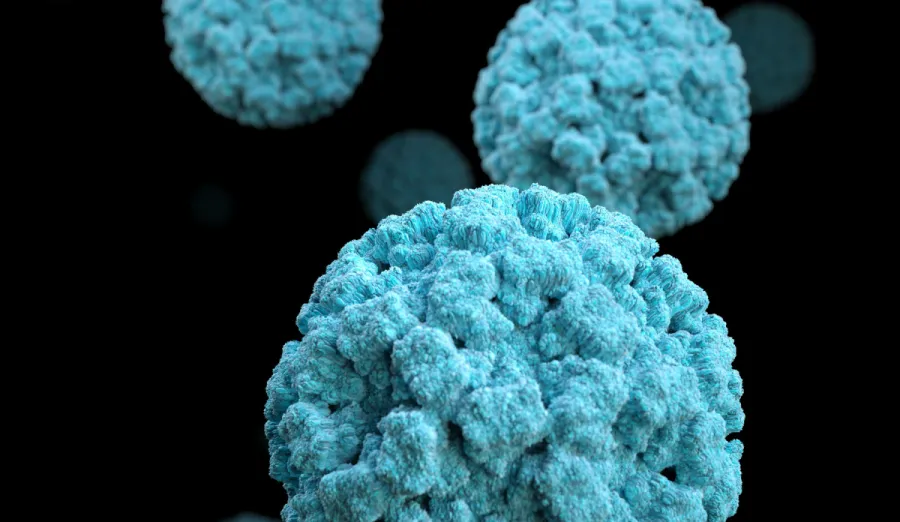 Norovirus