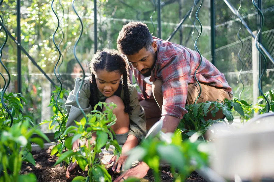 A man and a child planting a garden