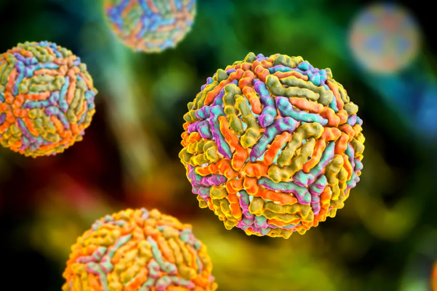 West Nile Virus illustration