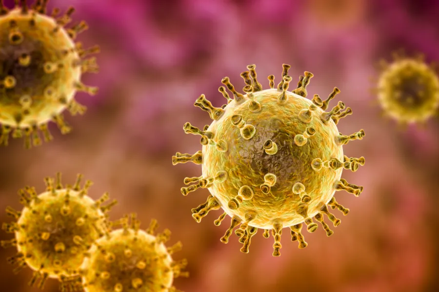 Microscopic view of shingles virus