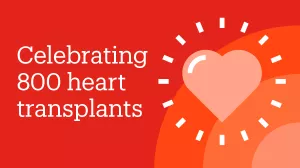 Graphic celebrating 800 heart transplants at Tufts Medical Center