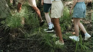 People walking in the woods.