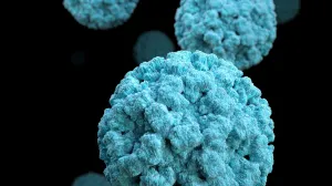 Norovirus