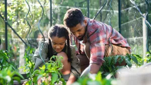 A man and a child planting a garden