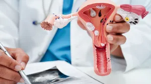 Healthcare provider using a reproductive anatomy model to explain how HPV affects the cervix and why screening matters.