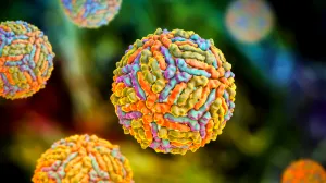 West Nile Virus illustration