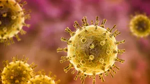 Microscopic view of shingles virus