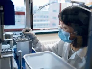 Tomoko Kaneko-Tarui, MD, PhD examining a set of tubes in the MIRI (Mother Infant Research Institute) lab.
