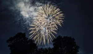 Fireworks in a dark sky