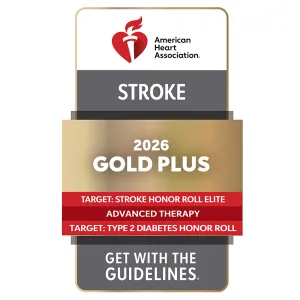 American Heart Association 2026 Gold Plus - Stroke
