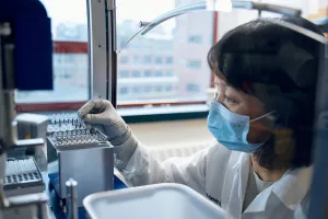 Tomoko Kaneko-Tarui, MD, PhD examining a set of tubes in the MIRI (Mother Infant Research Institute) lab.