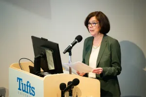 bridging collaborations across the lifespan summit helen boucher