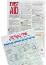 First Aid Chart AAP